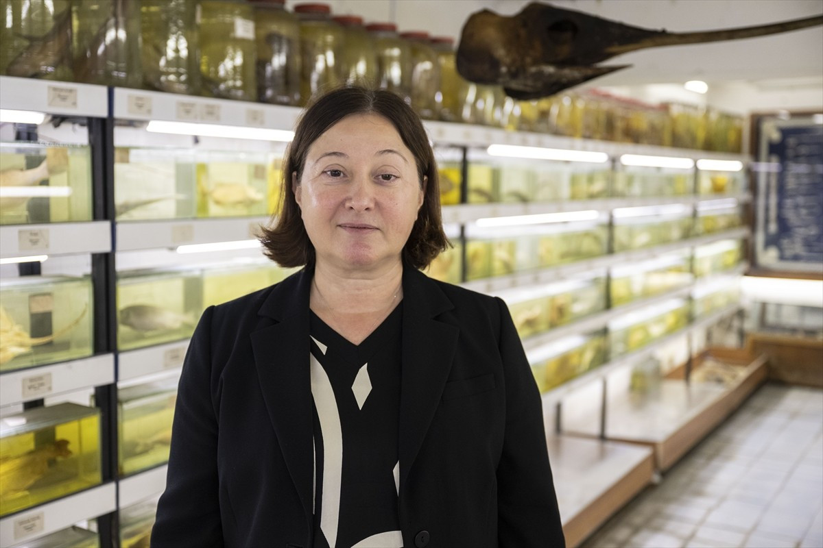 Türkiye'nin denizlerinde yaşayan balık türü sayısı bir zamanlar 550'ye kadar yükselirken...