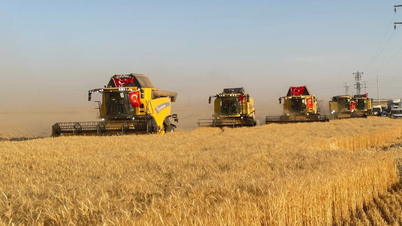 TÜRKİYE'NİN EN BÜYÜK ARAZİSİNDE BUĞDAY HASADI BAŞLADI