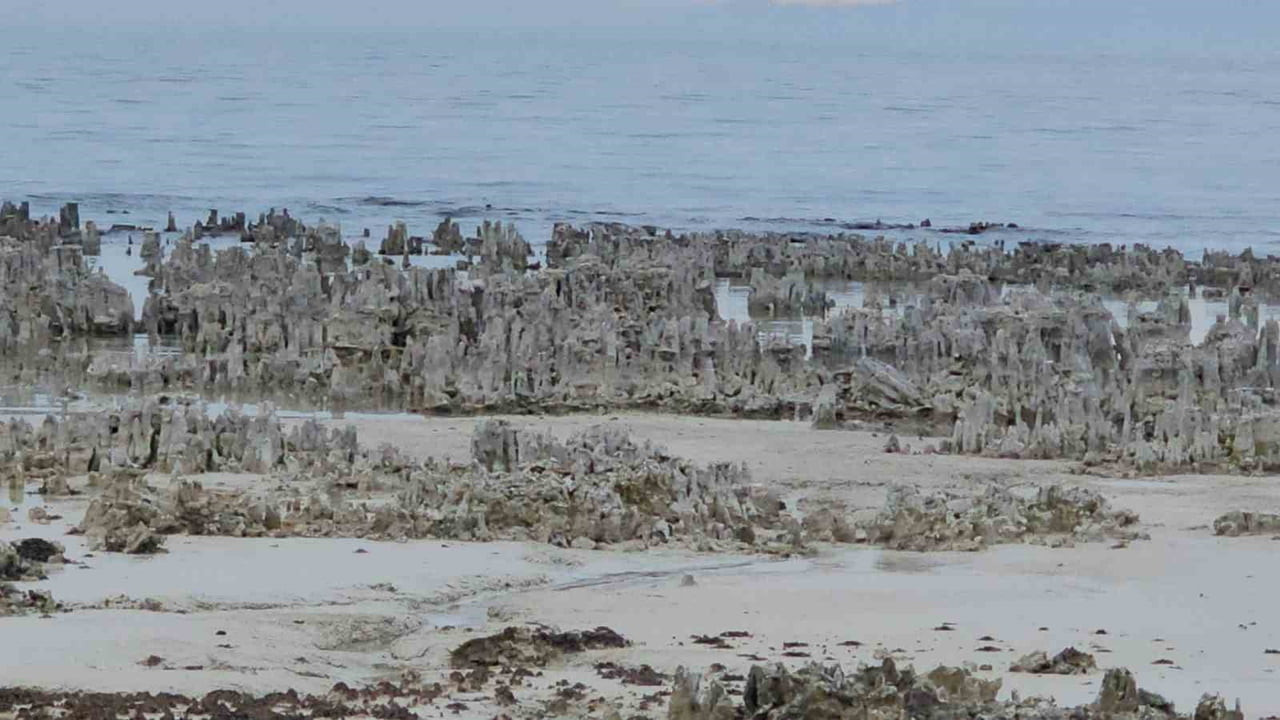TÜRKİYE'NİN EN BÜYÜK GÖLÜ OLAN VAN GÖLÜ'NÜN ADİLCEVAZ SAHİLİNDE YAŞANAN YAĞIŞLARA RAĞMEN SU...