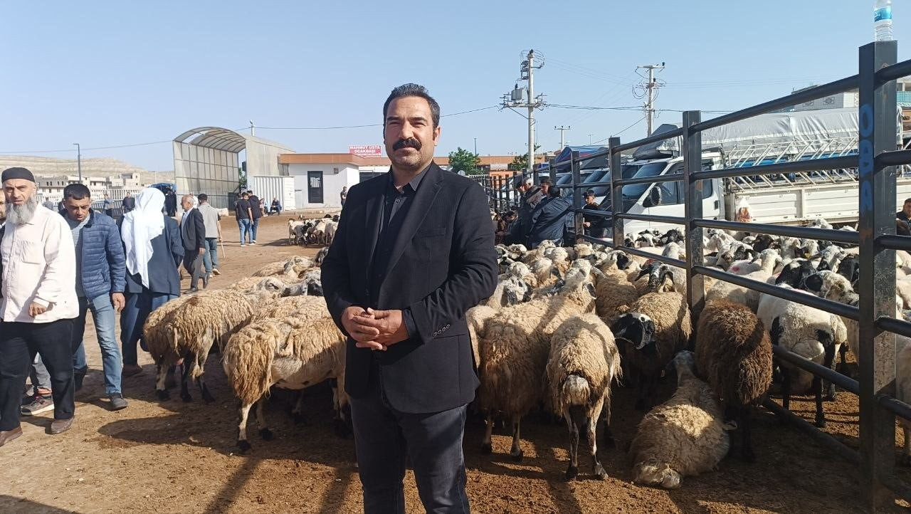 TÜRKİYE'NİN EN BÜYÜK HAYVAN PAZARLARI ARASINDA YER ALAN ŞANLIURFA'DAKİ PAZARDA KURBANLIK YOĞUNLUĞU...