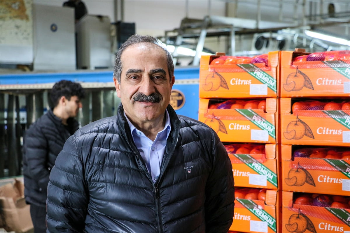 Türkiye'nin narenciye ihracatı 2025'te önceki yıla göre yüzde 41 artarak 1 milyar 477 milyon 58...