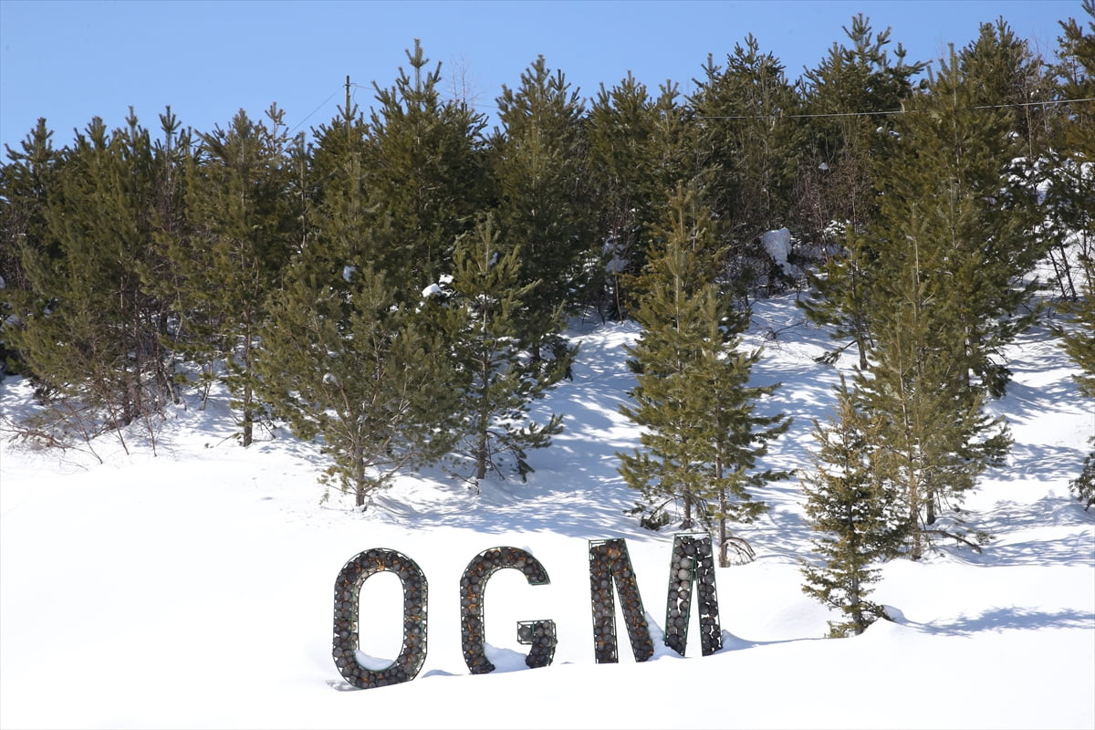Türkiye'nin önemli kayak merkezlerinden İç Anadolu'nun zirvesi Erciyes Dağı'ndaki 5 bin 750 hektar...
