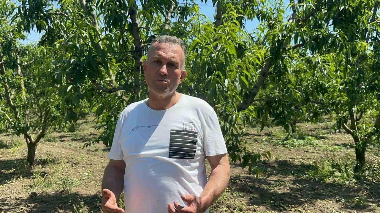 TÜRKİYE'NİN ŞEFTALİ VE NEKTARİN ÜRETİMİNDE ÖNDE GELEN MERKEZLERİNDEN OLAN BURSA'NIN GÜRSU...
