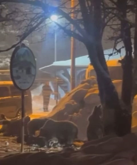 TÜRKİYE’NİN ÖNEMLİ KIŞ TURİZM MERKEZLERİNDEN ULUDAĞ’DA KAR KALINLIĞI YAKLAŞIK 2 METREYE ULAŞIRKEN...