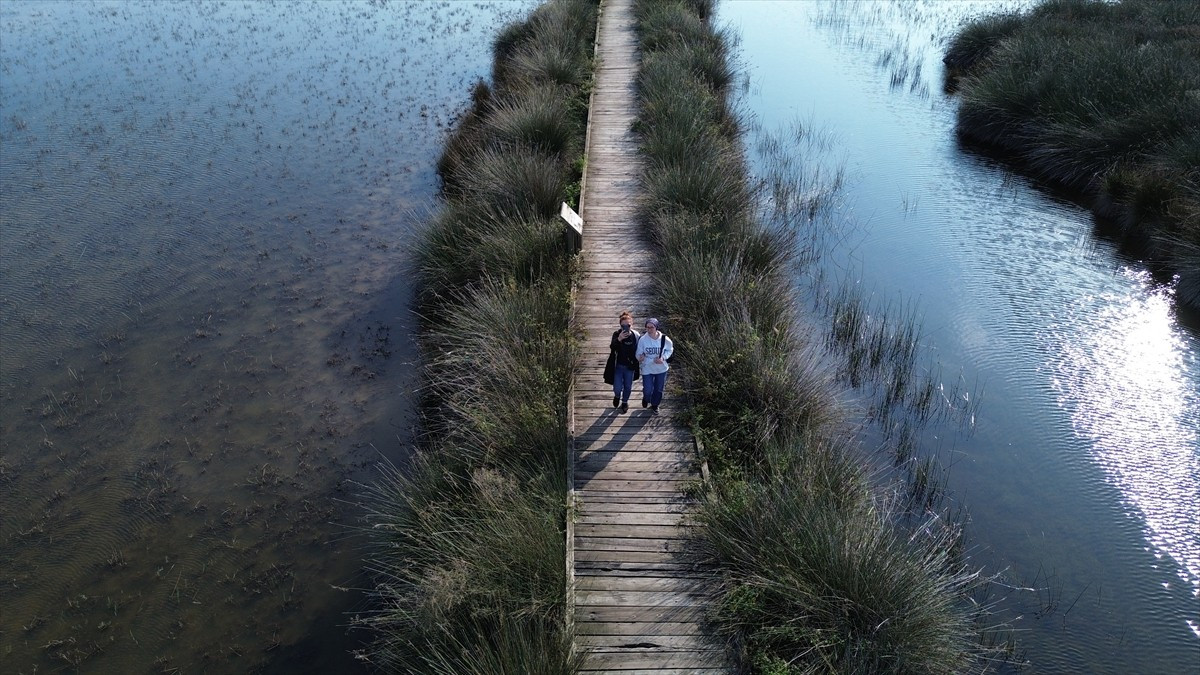 UNESCO Dünya Mirası Geçici Listesi'nde yer alan Samsun'daki Kızılırmak Deltası Kuş Cenneti...