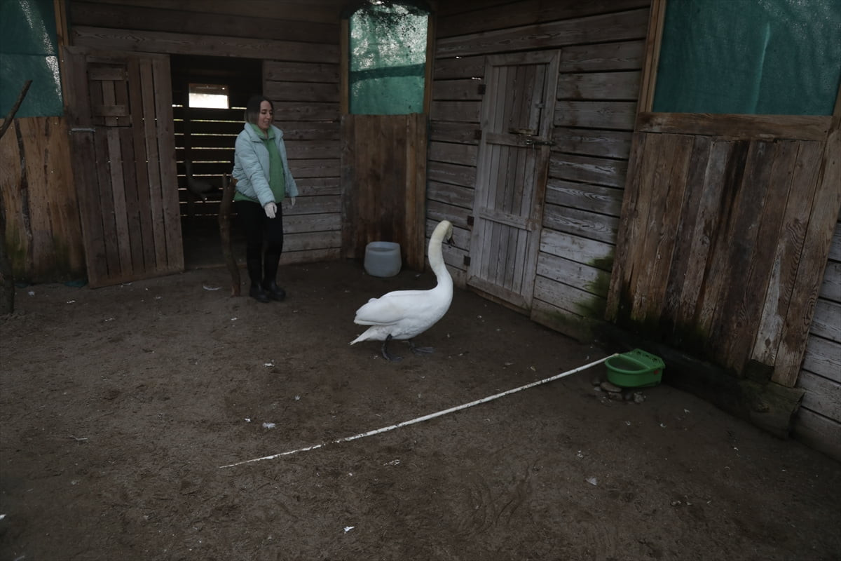 UNESCO Dünya Mirası Geçici Listesi'nde yer alan Samsun'daki Kızılırmak Deltası Kuş Cenneti'ne...