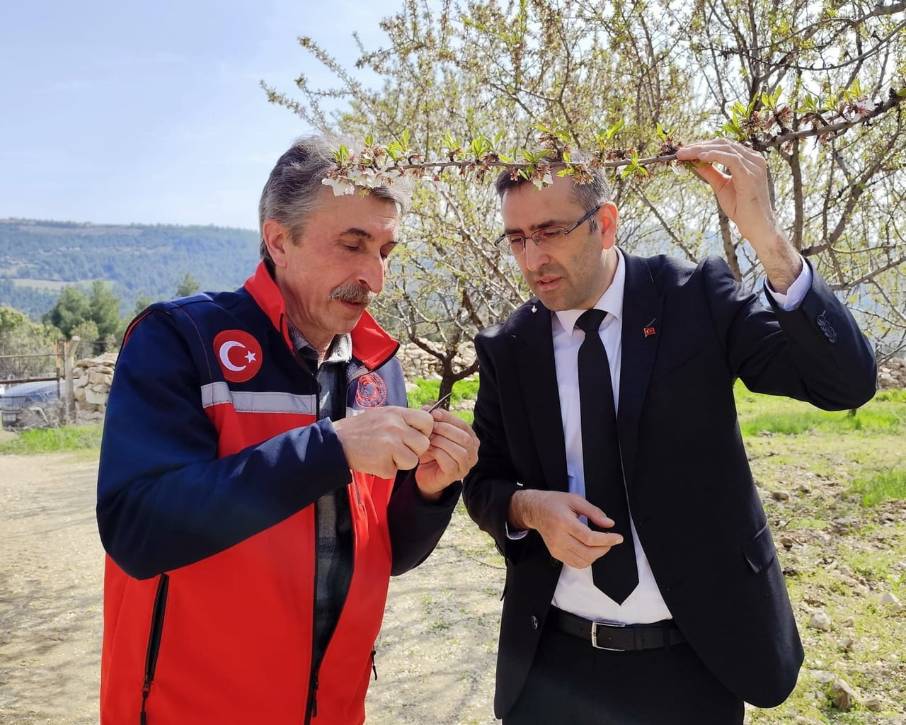 UŞAK’TA ETKİLİ OLAN MEVSİMSEL HAVA OLAYLARININ ARDINDAN İL TARIM VE ORMAN MÜDÜRLÜĞÜ EKİPLERİ...