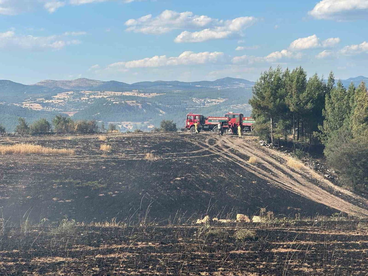 UŞAK’TA TARIM ARAZİSİNDE BAŞLAYAN VE RÜZGARIN ETKİSİYLE ORMANLIK ALANA SIÇRAYAN YANGIN, EKİPLERİN...