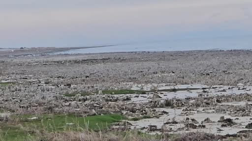 Van Gölü'nde kuraklık alarmı: Adilcevaz sahilinde mikrobiyalitler gün yüzüne çıktı