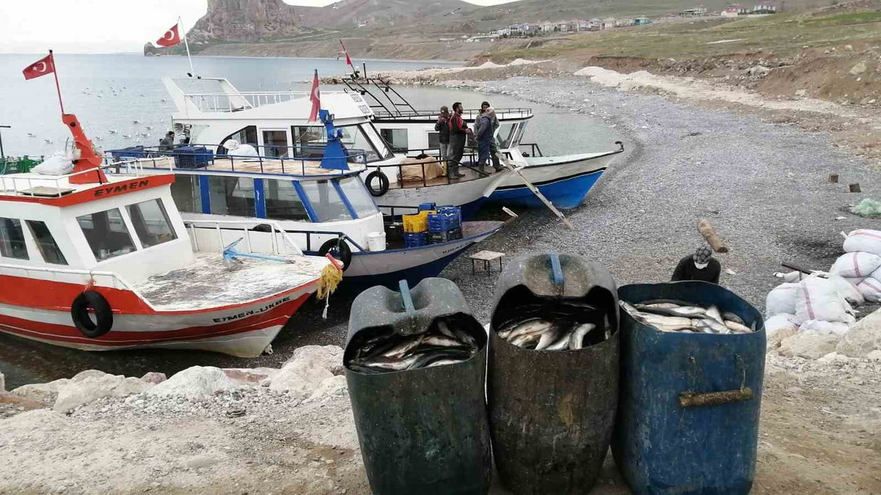 VAN GÖLÜ'NDE YAŞAYAN İNCİ KEFALİNİN NESLİNİN DEVAMI İÇİN ÜREME DÖNEMİ OLAN 15 NİSAN-15 TEMMUZ'DA...