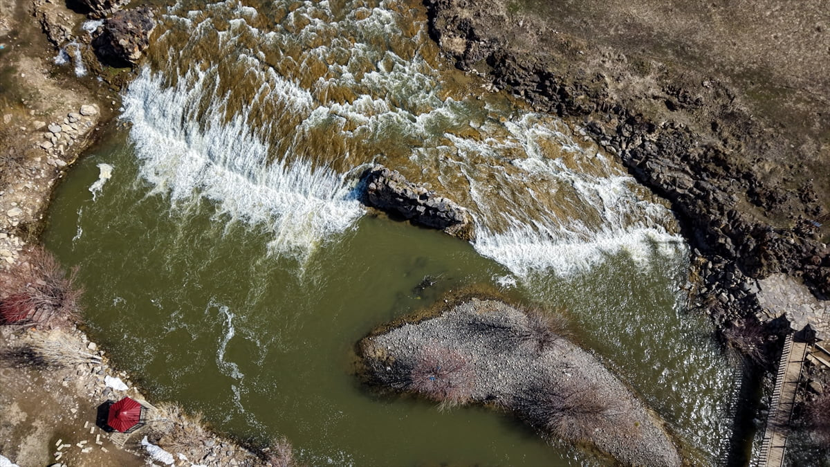 Van Gölü'nde yaşayan inci kefallerinin, 2026'daki yağışların etkisiyle akarsu ve derelerin...