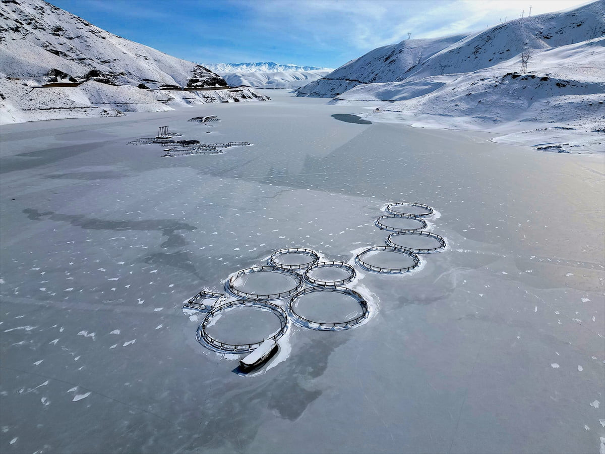 Van'da etkili olan yağışlar, yaz döneminde su seviyelerinde büyük düşüşün yaşandığı barajlardaki...