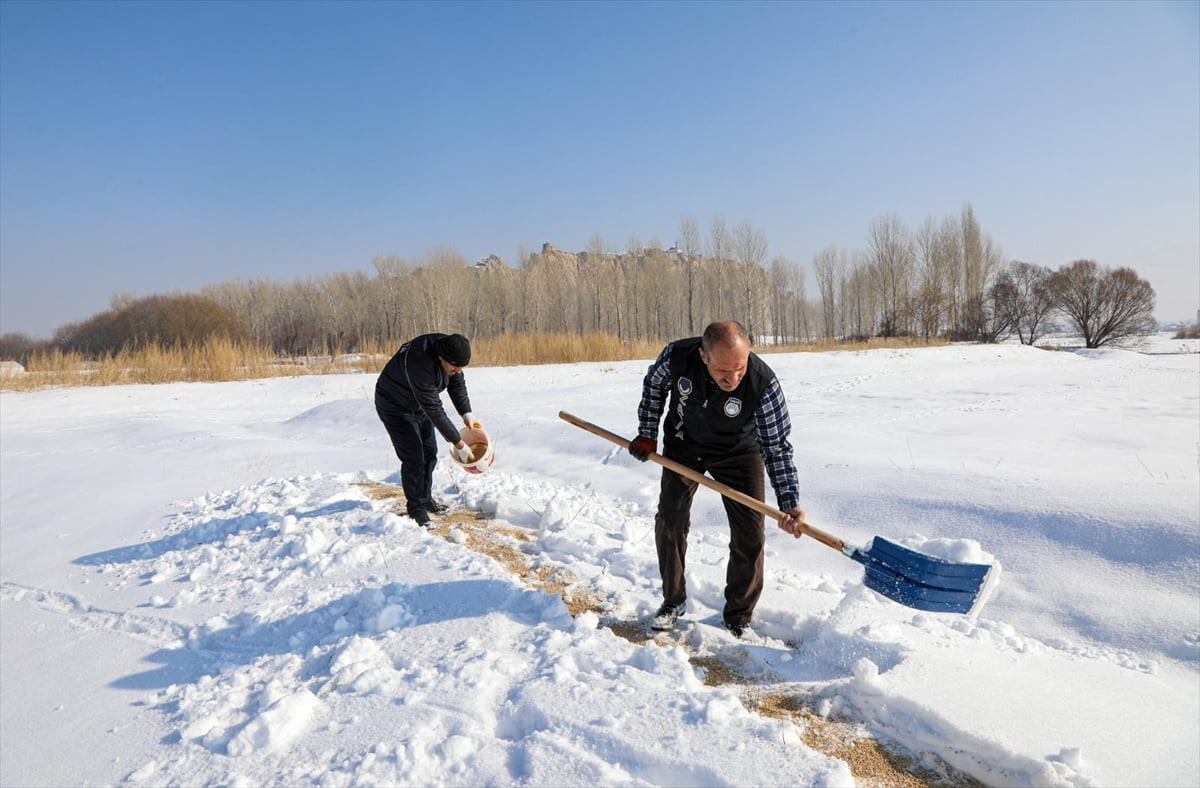 Van'da olumsuz hava koşulları nedeniyle yiyecek bulmakta zorlanan yaban hayvanları için dağlık...