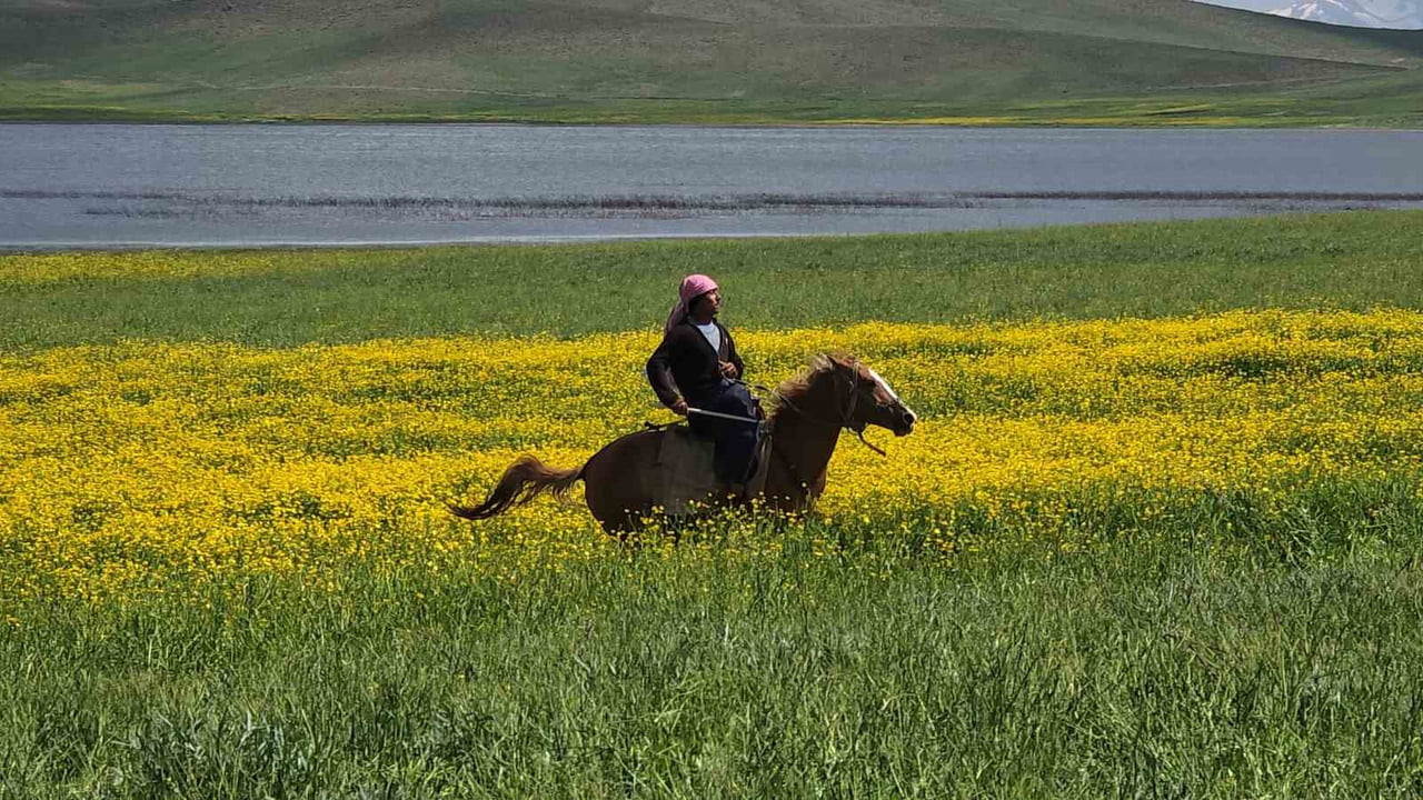 VAN'DA, YAZ MEVSİMİNİN YÜZÜNÜ GÖSTERDİĞİ BU GÜNLERDE, ADETA İKİ FARKLI MEVSİMİ AYNI ANDA YAŞIYOR....
