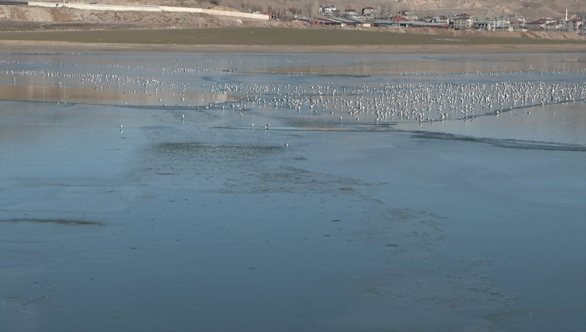 Van'daki Sıhke Gölü'nün yüzeyi bir süredir etkili olan soğuk hava nedeniyle kısmen dondu.