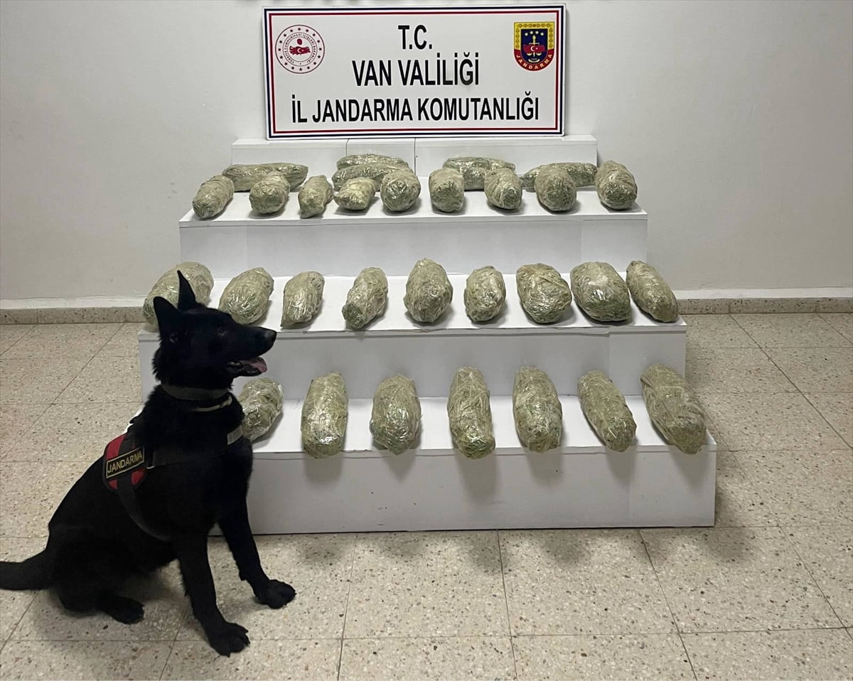  Van'ın Başkale ilçesinde 21 kilo 350 gram skunk ele geçirildi.