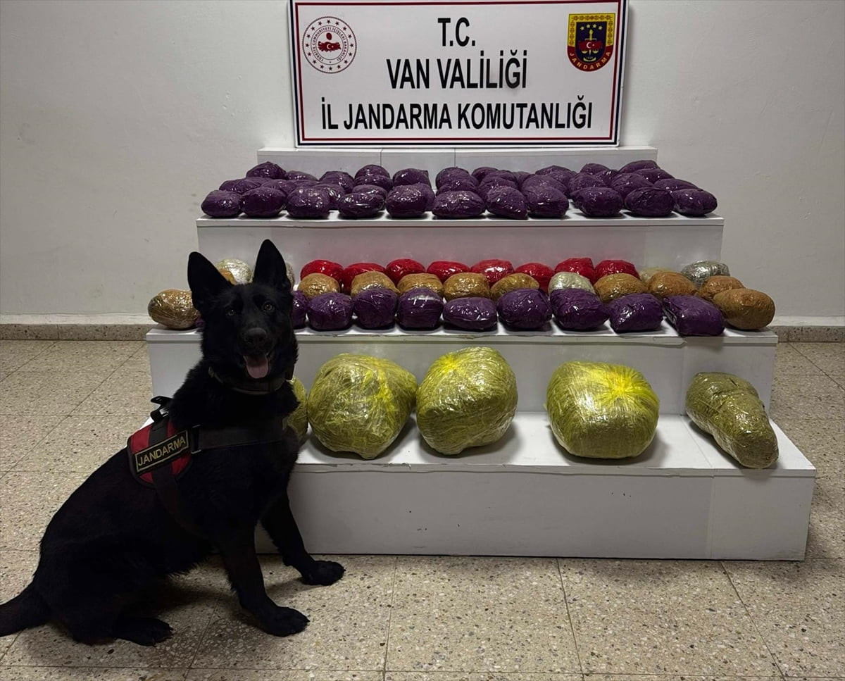 Van'ın Başkale ilçesinde 30 kilo 610 gram skunk ve 941 gram esrar ele geçirildi.