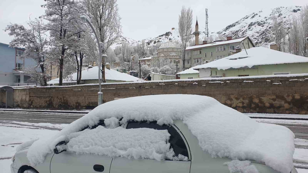 VAN'IN BAŞKALE İLÇESİNDE NİSAN AYINDA ETKİLİ OLAN YOĞUN KAR YAĞIŞI HAYATI OLUMSUZ...