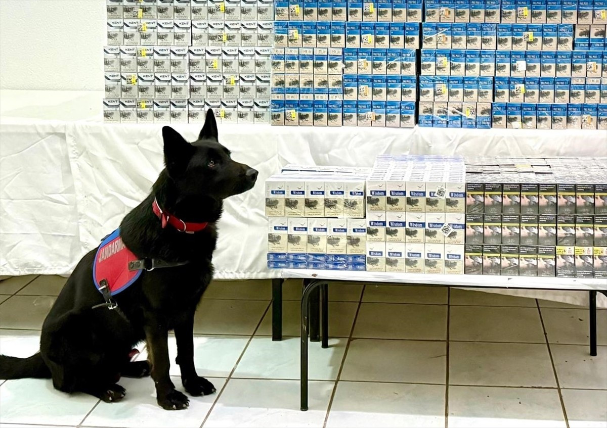 Van'ın Erciş ilçesinde 8 bin 200 paket gümrük kaçağı sigara ele geçirildi.