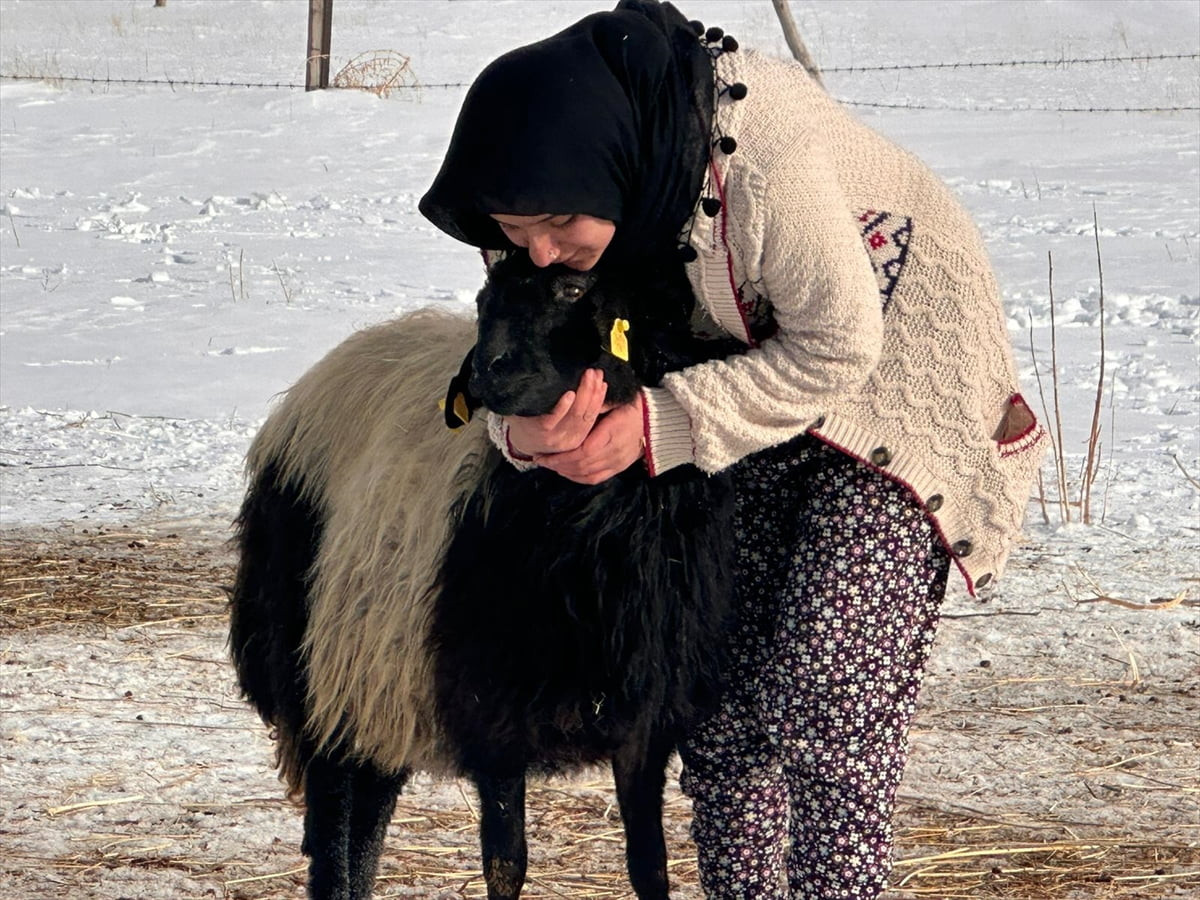 Van'ın Gürpınar ilçesinde yaşayan 17 yaşındaki Nimet Eşref'in, annesi öldükten sonra besleyip...