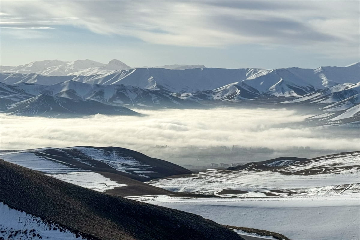 Van'ın Gürpınar ilçesinde yoğun sis etkili oldu.
