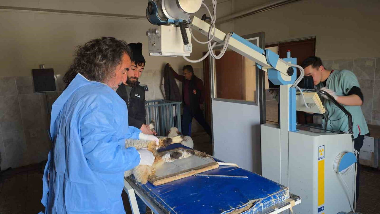 VAN'IN TUŞBA İLÇESİNDE 5.2 BÜYÜKLÜĞÜNDEKİ MEYDANA GELEN DEPREMDE ENKAZ ALTINDAN SAĞ ÇIKARILAN...