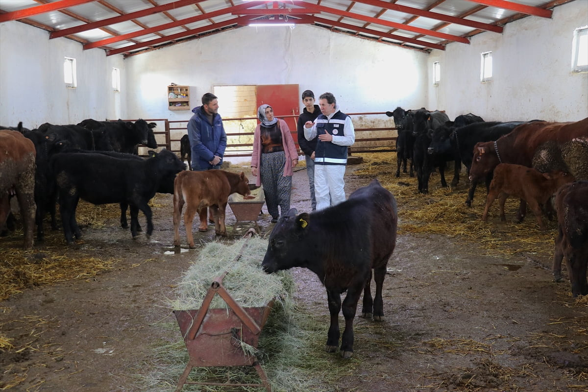Van'ın Tuşba ilçesinde devlet desteğiyle besiciliğe başlayan 5 çocuk annesi Sevgül Hündür, 5 ayda...