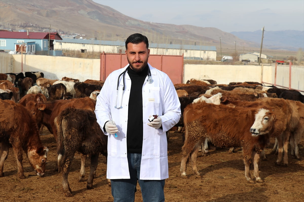 Van'ın Tuşba ilçesinde yaşayan üniversite mezunu Faysal Borizan, baba mesleği olan büyükbaş...