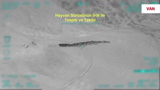 Van’da 800 küçükbaş hayvanın yağmalanmasına yönelik İHA destekli operasyon: 4 gözaltı