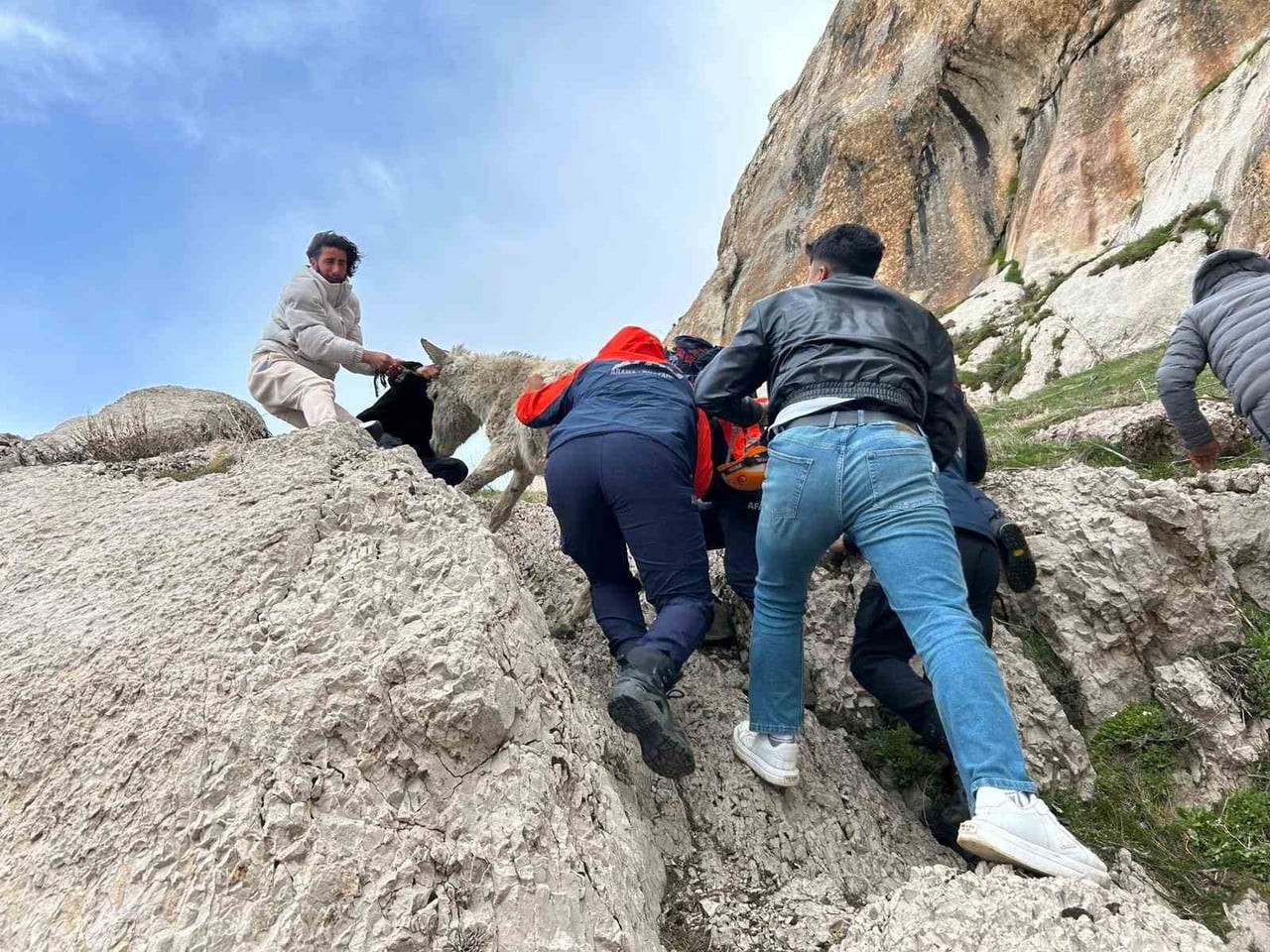 VAN’IN TUŞBA İLÇESİNDE SARP KAYALIKLARDA MAHSUR KALAN BİR EŞEK, AFAD EKİPLERİNİN MÜDAHALESİYLE...