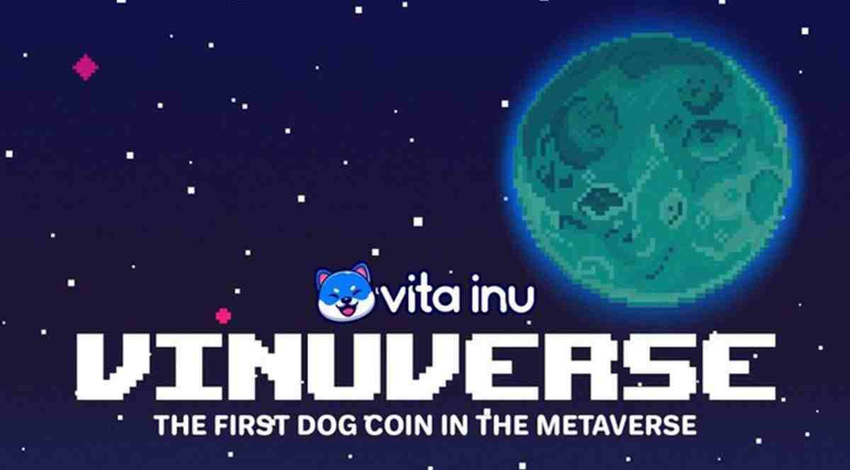 Vinu coin nedir?
