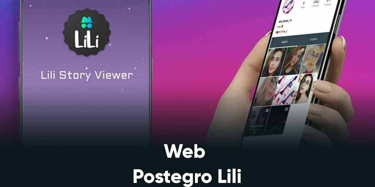 Web Postegro & Lili Benzeri Uygulamalar