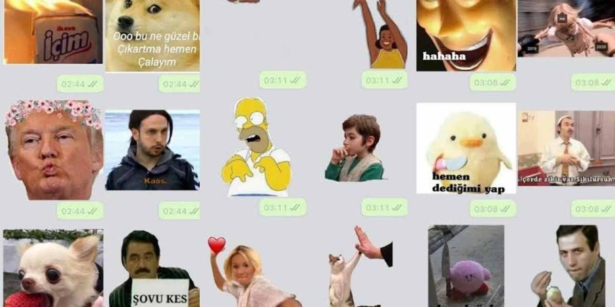 Whatsapp kendi çıkarmamız nasıl yapılır