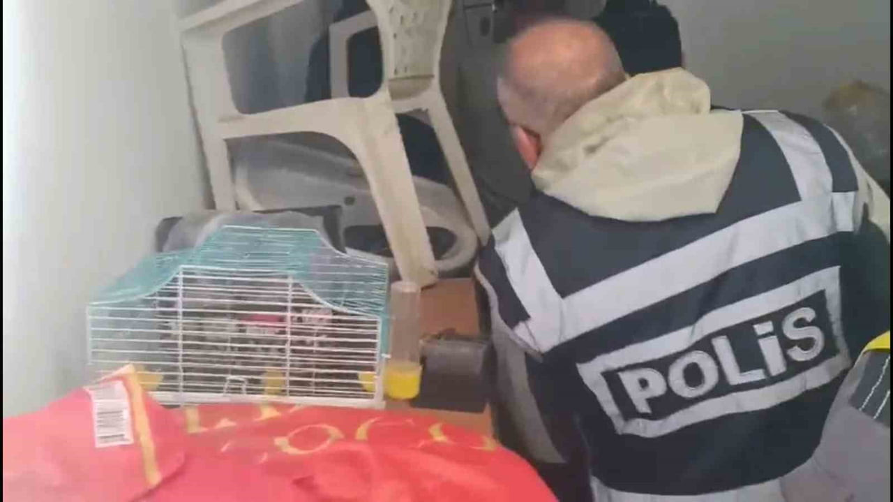 YABANCI TURİSTLERİN KREDİ KARTLARINI KÖTÜ AMAÇLI KULLANAN 4 ŞÜPHELİ YAKALANDI