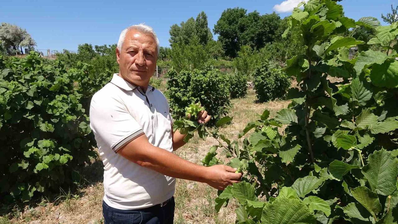 YAHYA KIZILKAYA