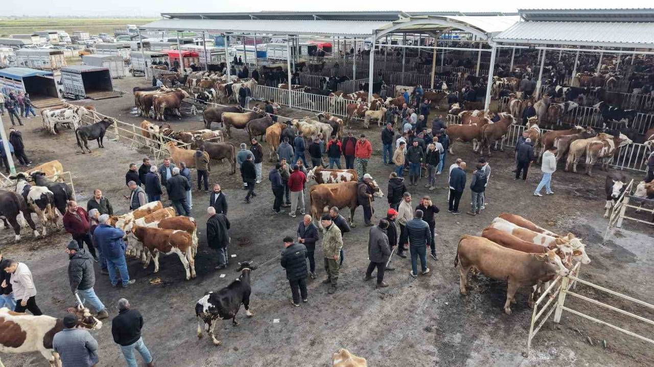 YAKLAŞAN KURBAN BAYRAMI ÖNCESİ AKSARAY'IN HAYVAN PAZARINDA DA HAREKETLİLİK BAŞLADI.