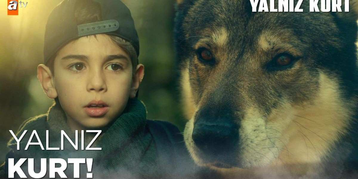 yalnız kurt