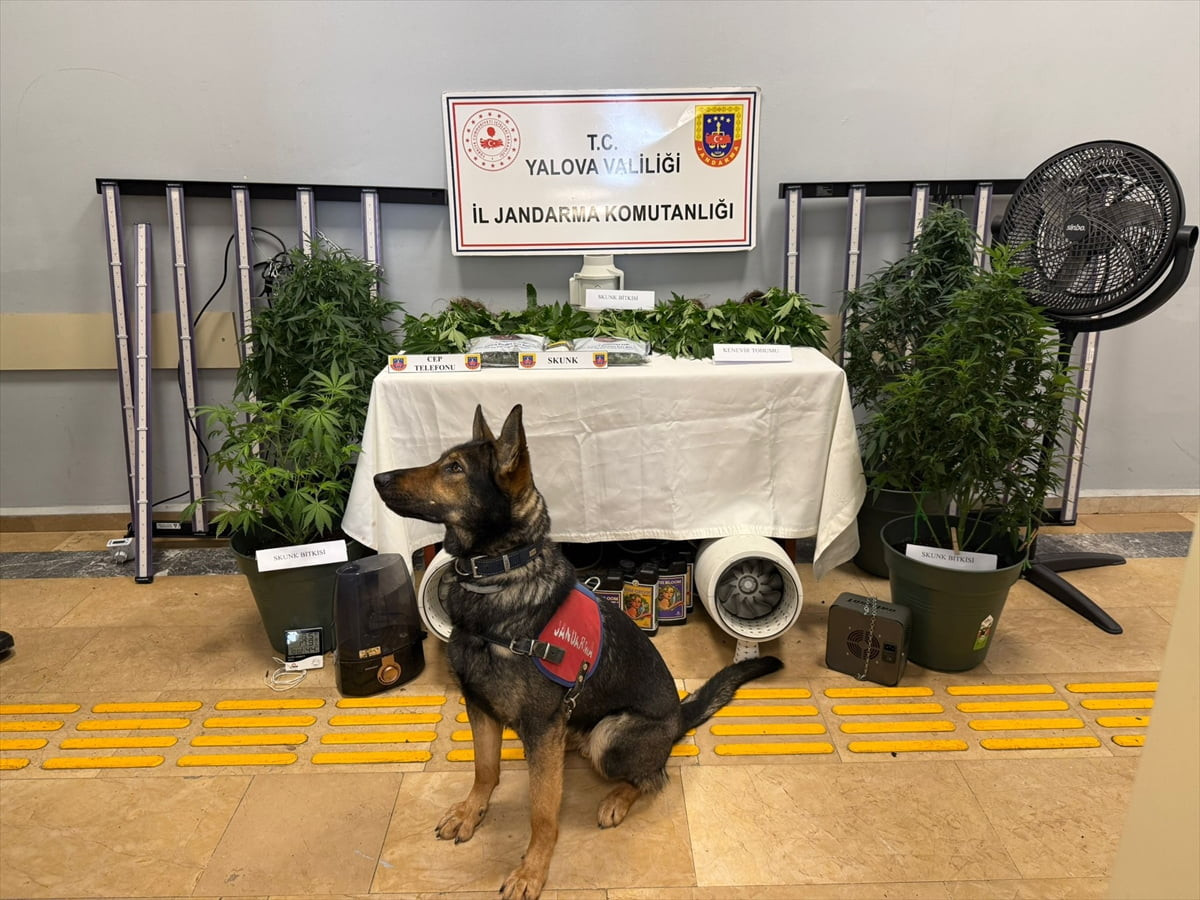 Yalova'da düzenlenen uyuşturucu operasyonunda gözaltına alınan 2 şüpheli tutuklandı. Jandarma...