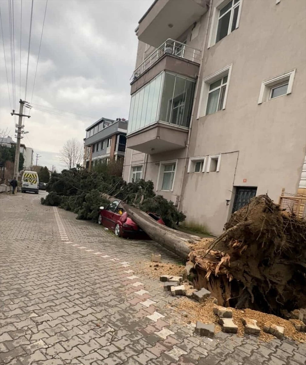Yalova'da fırtına hayatı olumsuz etkiliyor. Kent genelinde şiddetli fırtına nedeniyle çok sayıda...