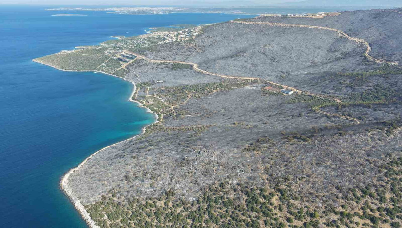 YANAN ALANLAR DRON İLE GÖRÜNTÜLENİRKEN YEŞİL ÖRTÜNÜN KARAYA DÖNDÜĞÜ GÖRÜLDÜ.