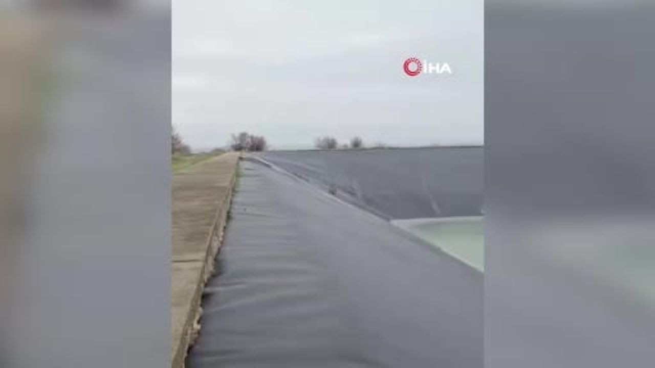 Yapay Gölete Düşen Çakal İtfaiye Ekipleri Tarafından Kurtarıldı