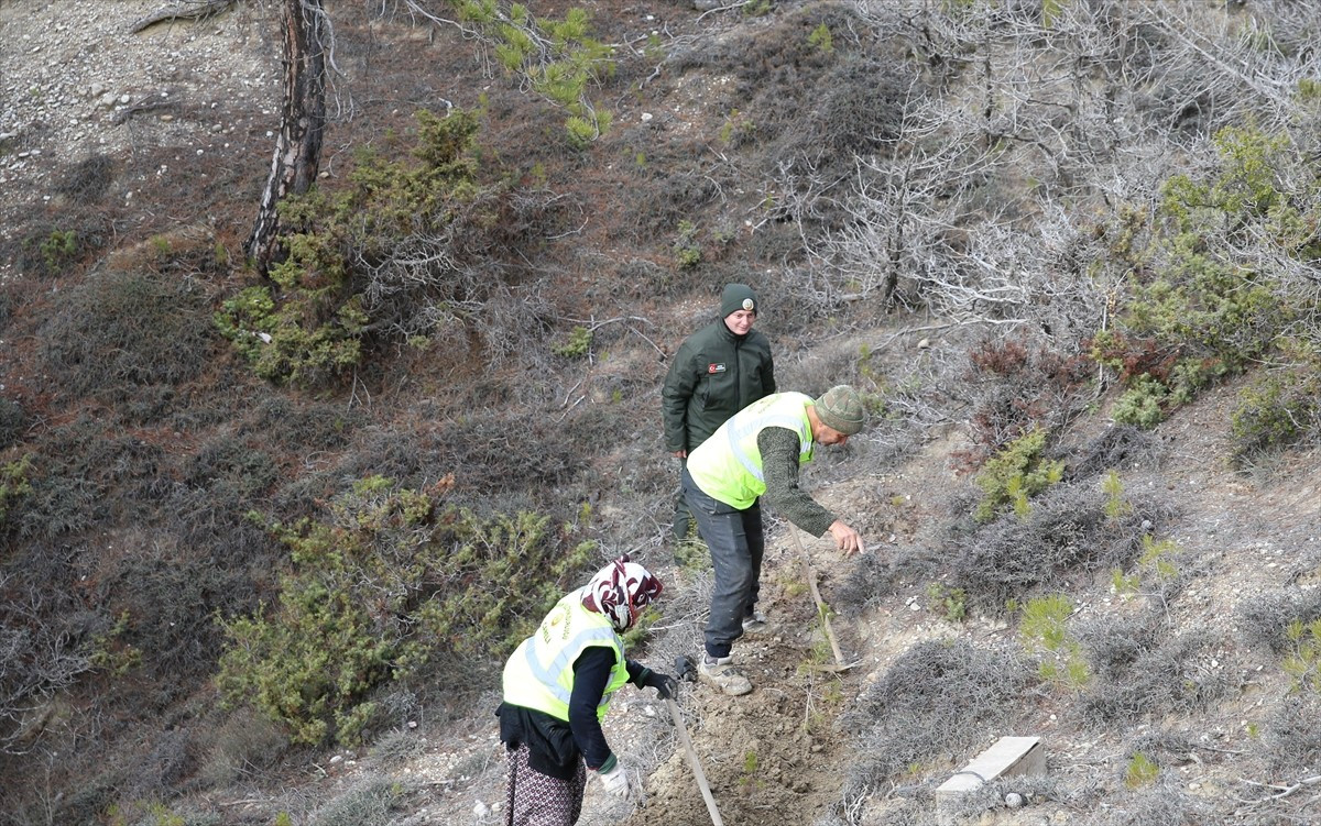Yaz aylarında orman yangınlarına karşı verdikleri fedakar mücadeleyle adını duyuran orman...