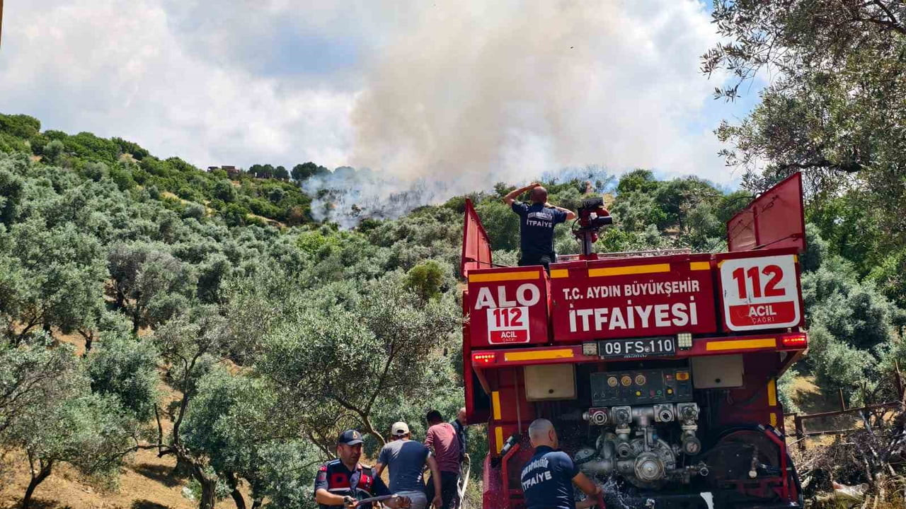 YENİPAZAR’DAKİ OTLUK ALAN YANGINI KONTROL ALTINA ALINDI