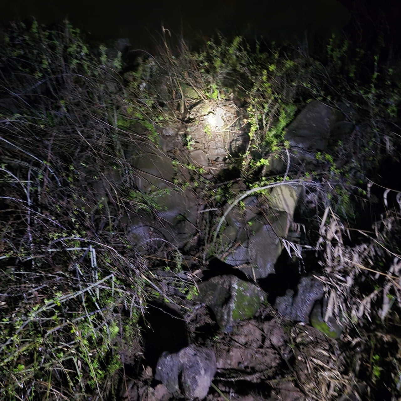 YENİŞEHİR İLÇESİNDE ÜZERİNDE OYNADIKLARI KAYANIN ALTINDA KALAN ÇOCUKLARDAN BİRİ HAYATINI KAYBETTİ...