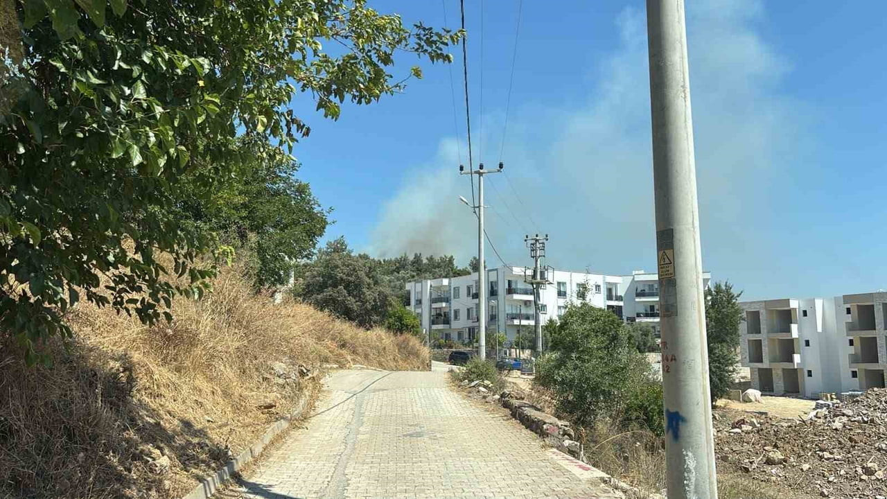 YERLEŞİM YERLERİNE YAKIN MAKİLİK ALANDAKİ YANGIN KORKUTTU