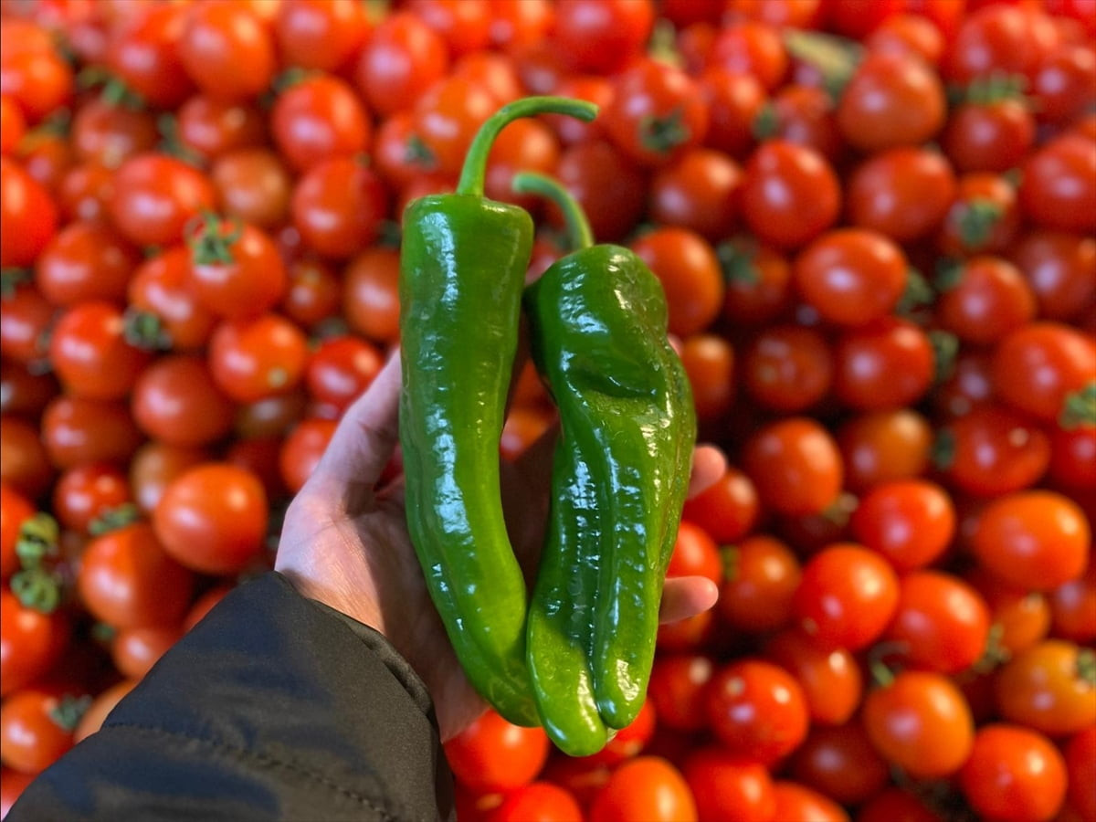 Yılı 2 milyar 743 milyon dolarlık ihracatla kapatan Batı Akdeniz İhracatçılar Birliği'nin (BAİB)...