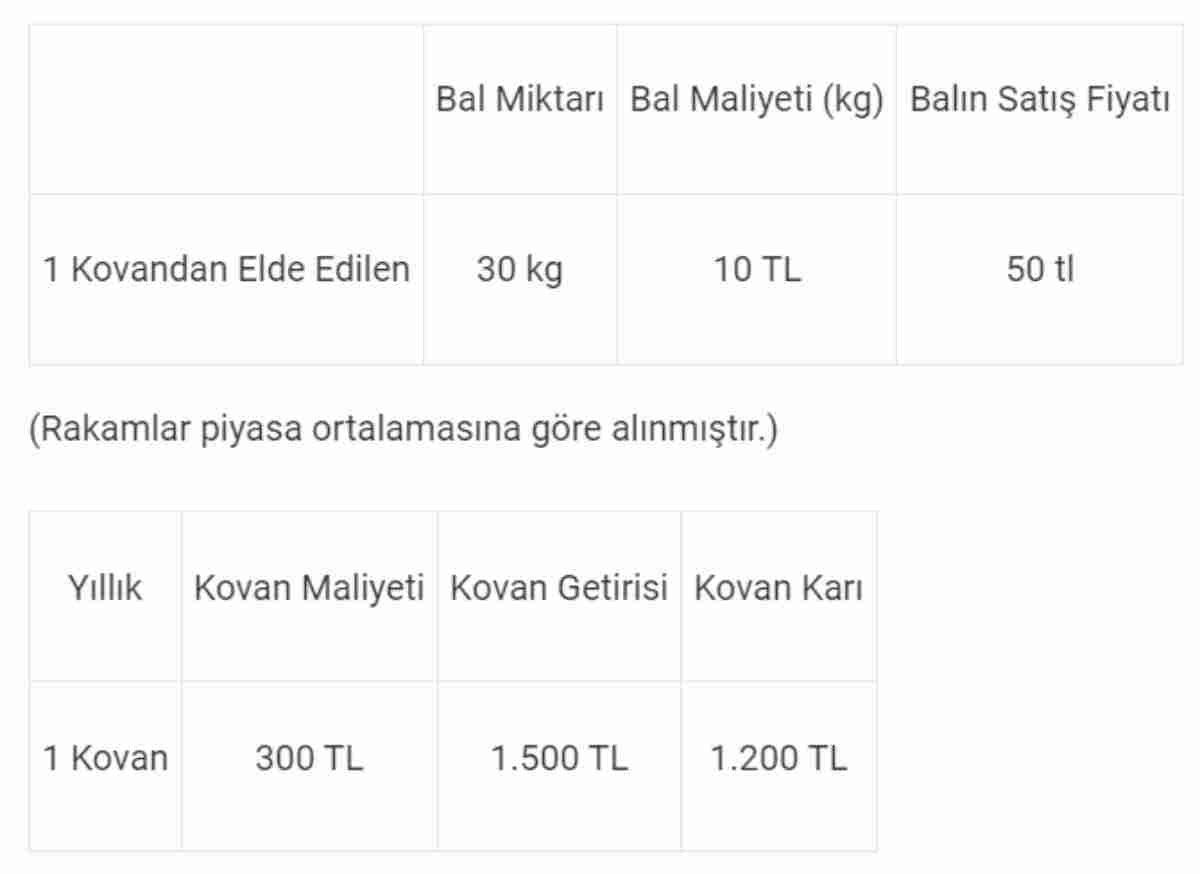 yıllık kazanç arıcılık