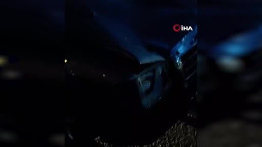 Yola çıkan atlar zincirleme kazaya neden oldu