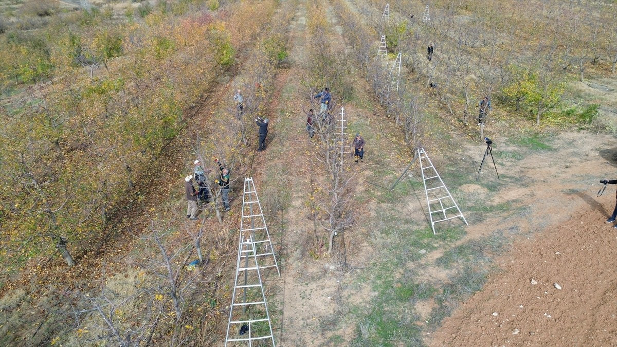 Yozgat'ın Kadışehri ilçesinde köylülerin bir araya gelip sınırları kaldırarak kurduğu 5 bin...