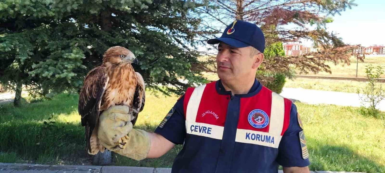 YOZGAT'IN YENİFAKILI İLÇESİNDE YARALI HALDE BULUNAN ŞAHİN KORUMA ALTINA ALINDI.